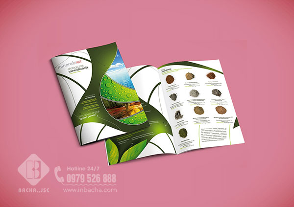 in-brochure-chuyen-nghiep
